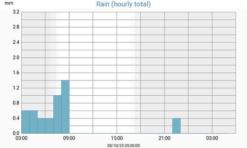 dayrain.png